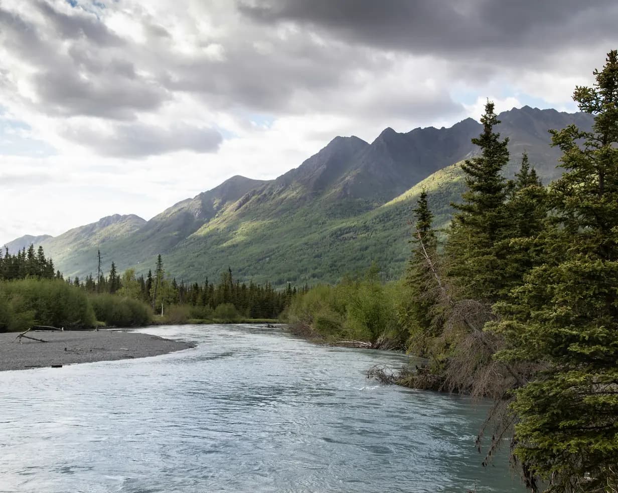 Glacial river winding past spruce trees below the Chugach Mountains near Anchorage, Alaska