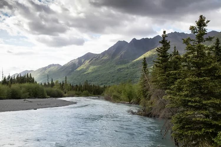 Glacial river winding past spruce trees below the Chugach Mountains near Anchorage, Alaska