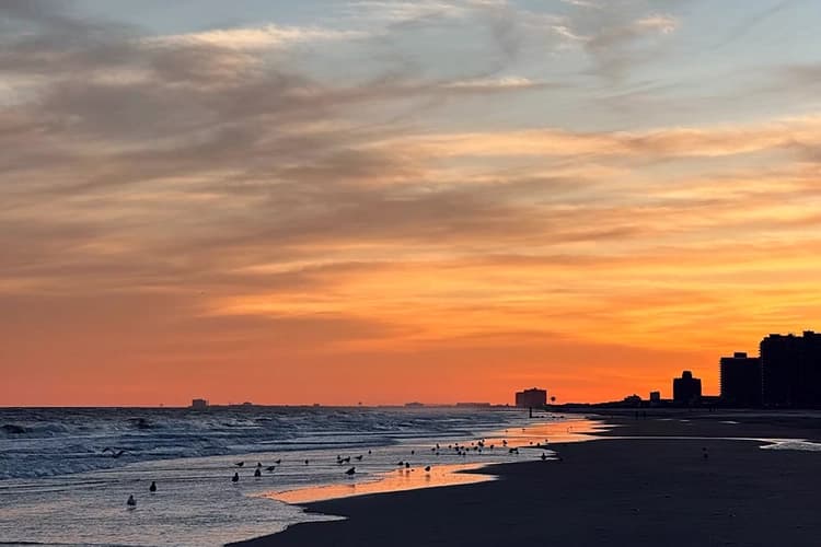 Seagulls over the Atlantic City, New Jersey beach at sunset, where charter bus groups arrive for shore weekends
