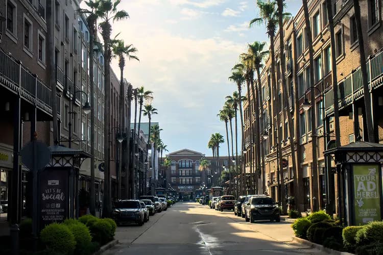 Palm-lined street at Perkins Rowe shopping district in Baton Rouge, Louisiana, a charter bus hotel-shuttle stop