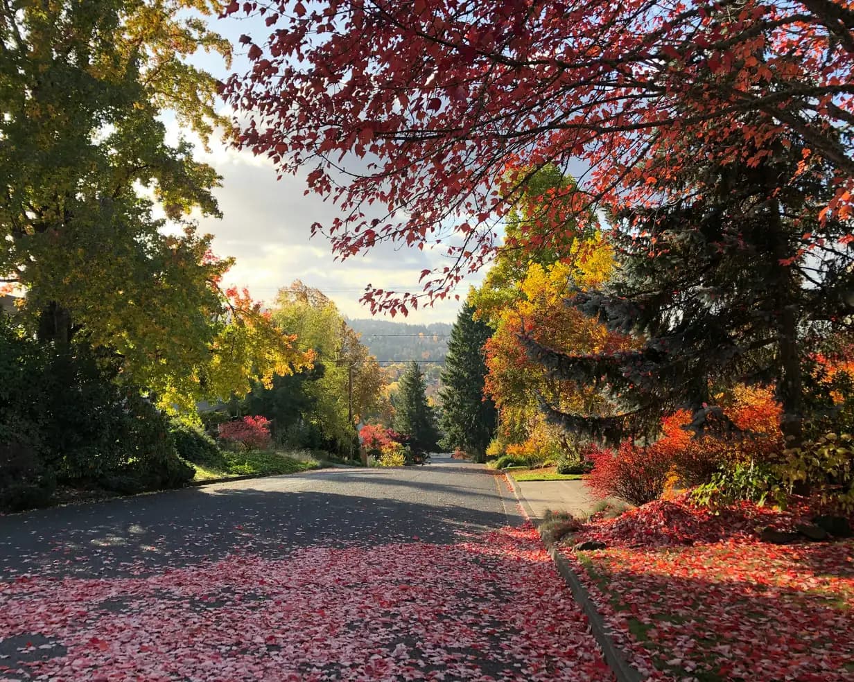 Residential street covered in red fall leaves under maple trees, with forested hills beyond, in Eugene, Oregon