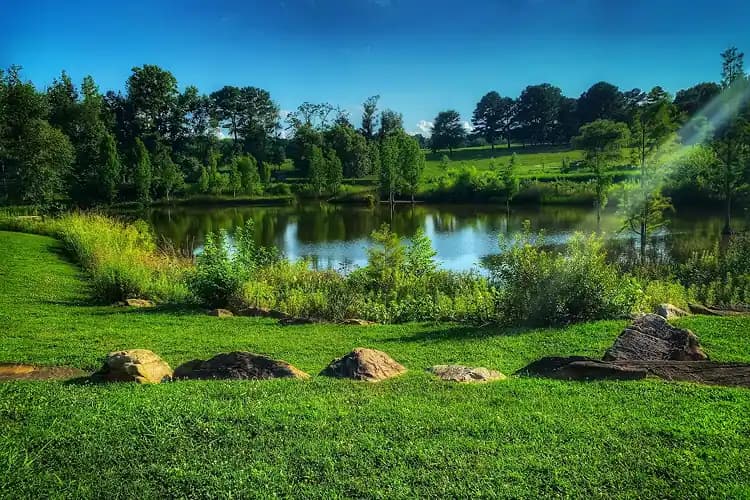 Green park landscape around a pond in Raleigh, North Carolina, part of the city's park system charter bus groups pass through