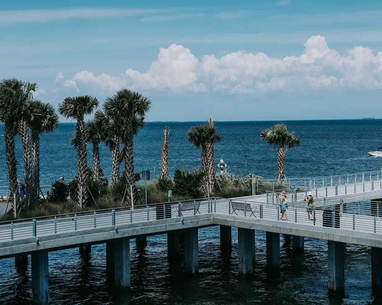 Palm trees along the downtown St. Petersburg, Florida waterfront by the St. Pete Pier, a walkable area charter bus groups are dropped at