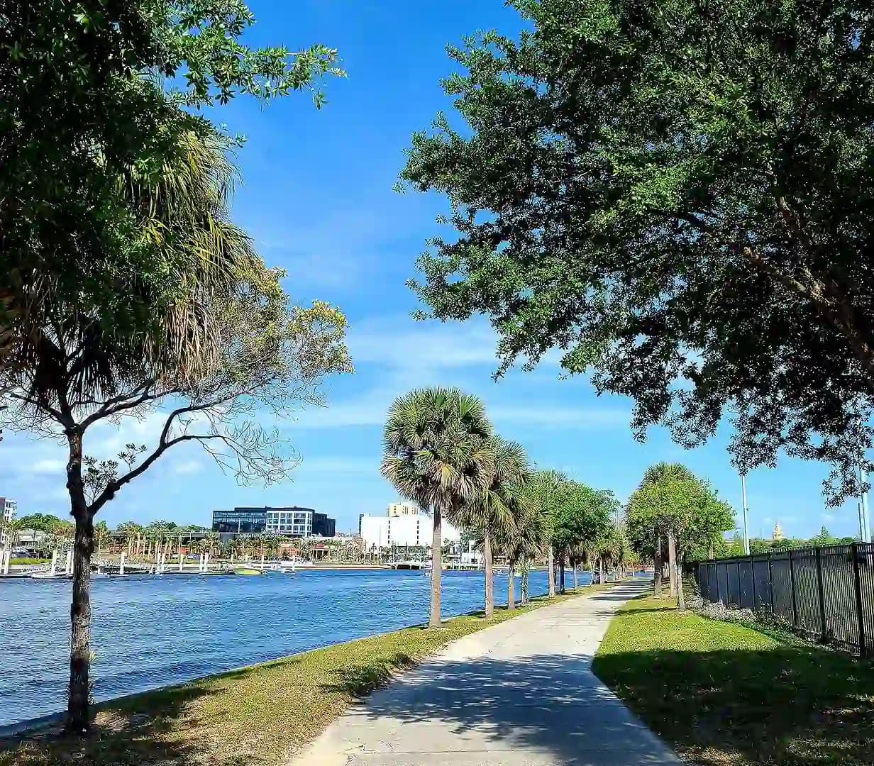Palm-lined path along the Tampa Riverwalk waterfront in Tampa, Florida, near downtown charter bus pickup points