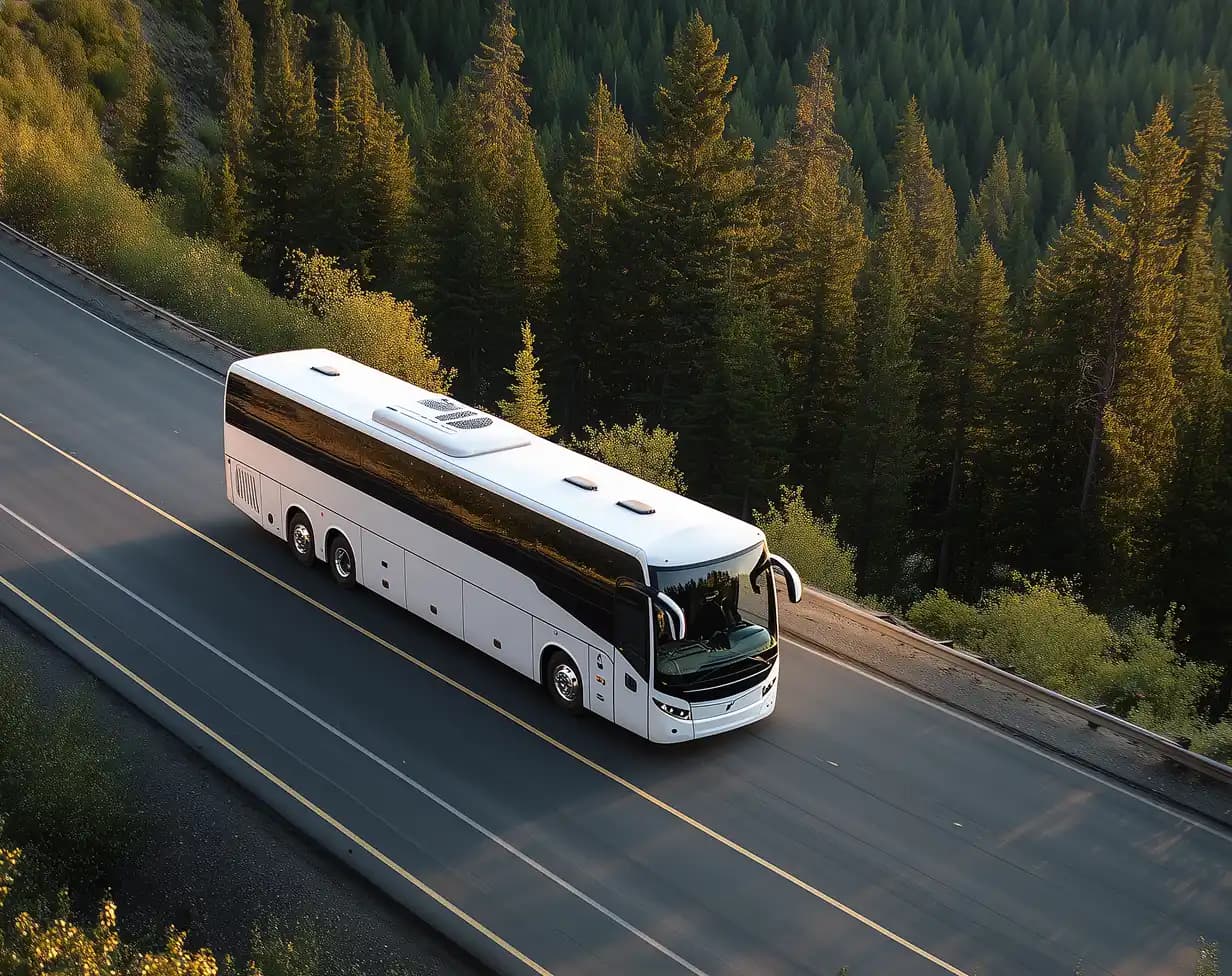 White charter coach bus rental aerial view on highway forest.
