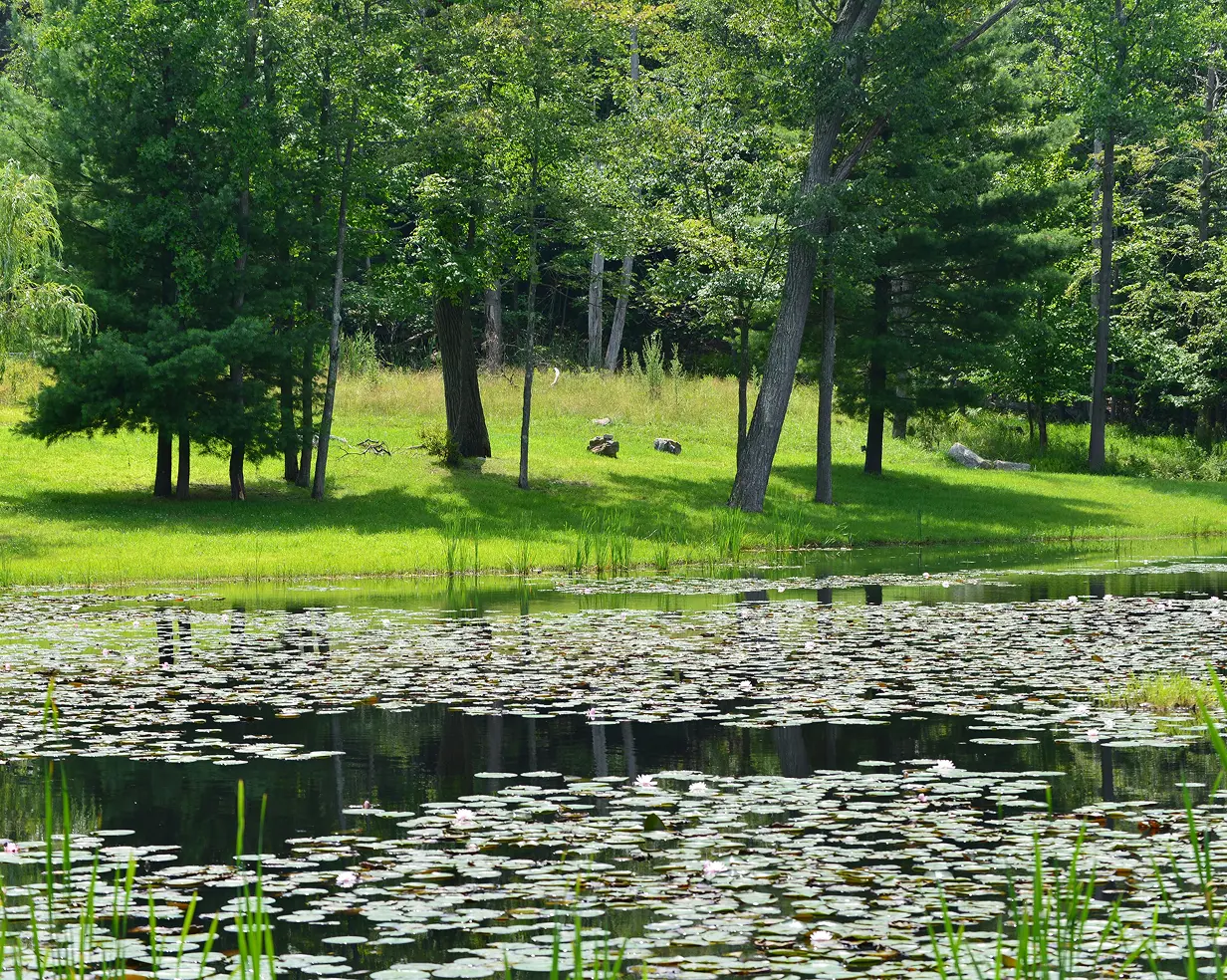 Wooded pond in northeastern Pennsylvania near Scranton, a popular group day-trip destination