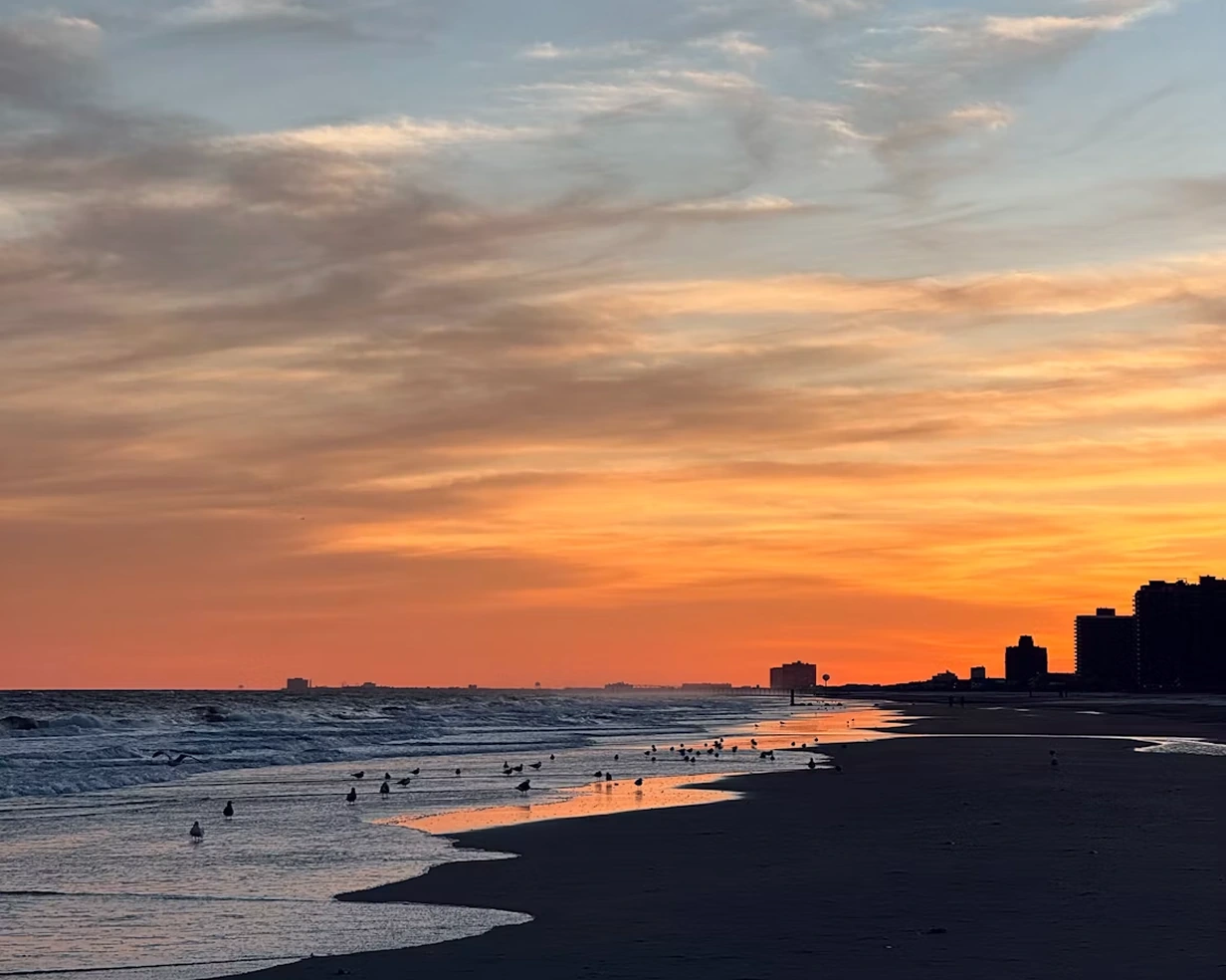 Seagulls over the Atlantic City, New Jersey beach at sunset, where charter bus groups arrive for shore weekends