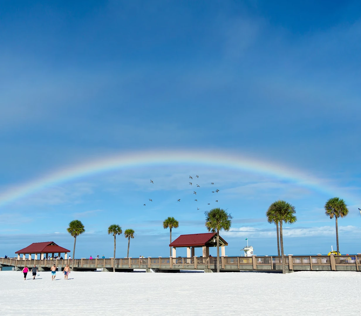 Palm trees and a rainbow over the white sand at Clearwater Beach, Florida, a destination for charter bus resort groups