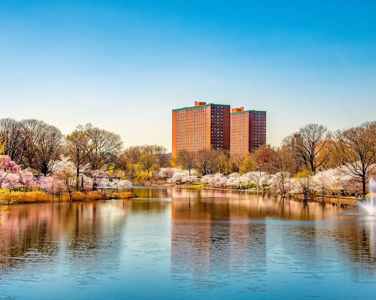Cherry blossoms reflected in the lake at Branch Brook Park in Newark, New Jersey, home of the Cherry Blossom Festival charter bus groups visit each April