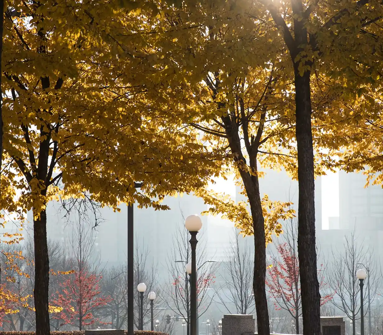 Autumn foliage and historic globe lampposts in a foggy downtown St. Paul, Minnesota park, on the streets charter bus groups travel