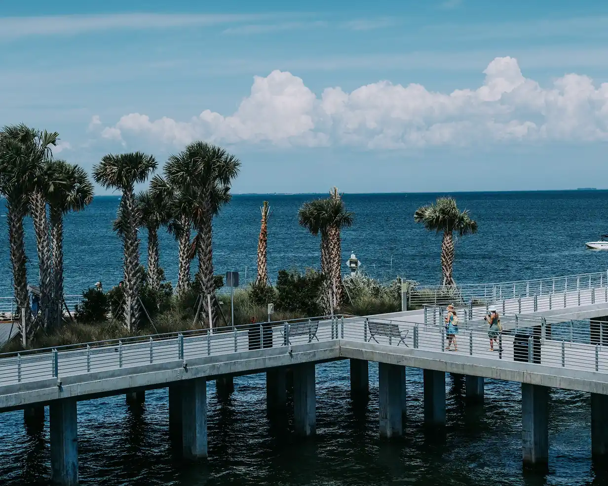 Palm trees along the downtown St. Petersburg, Florida waterfront by the St. Pete Pier, a walkable area charter bus groups are dropped at
