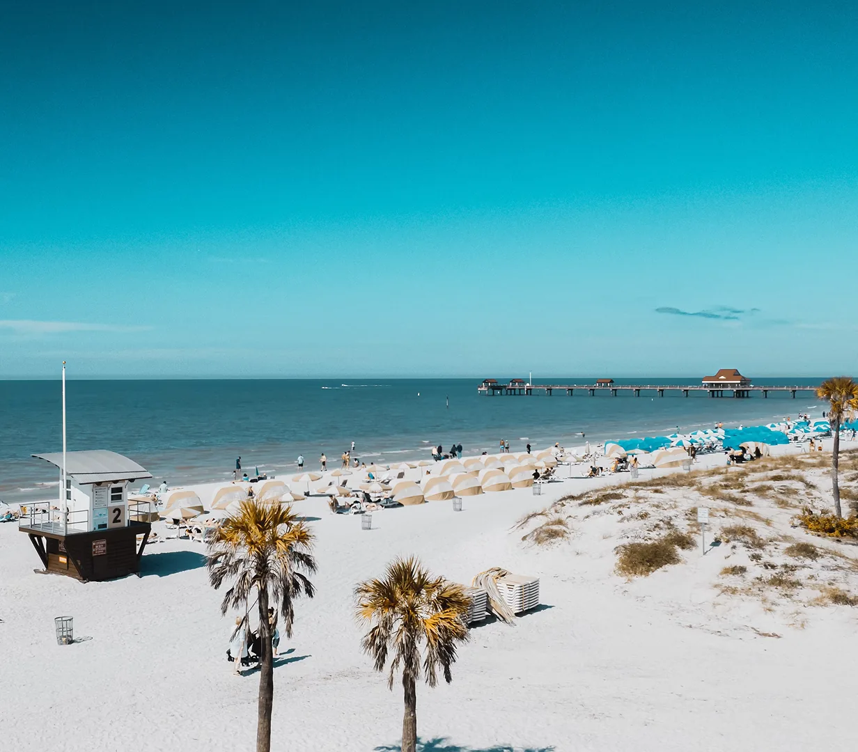 Palm trees and cabanas on a Gulf beach near Tampa, Florida, a day-trip destination for charter bus groups