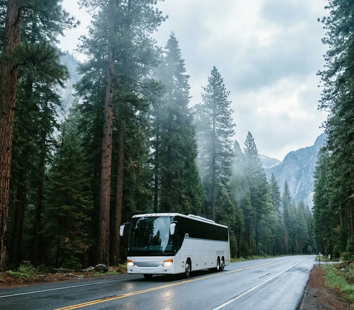 Coach on forest road.