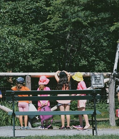 Field Trips & Student Excursions
