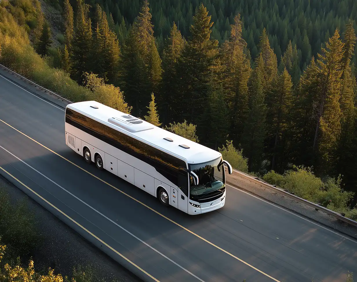 White charter coach bus rental aerial view on highway forest.